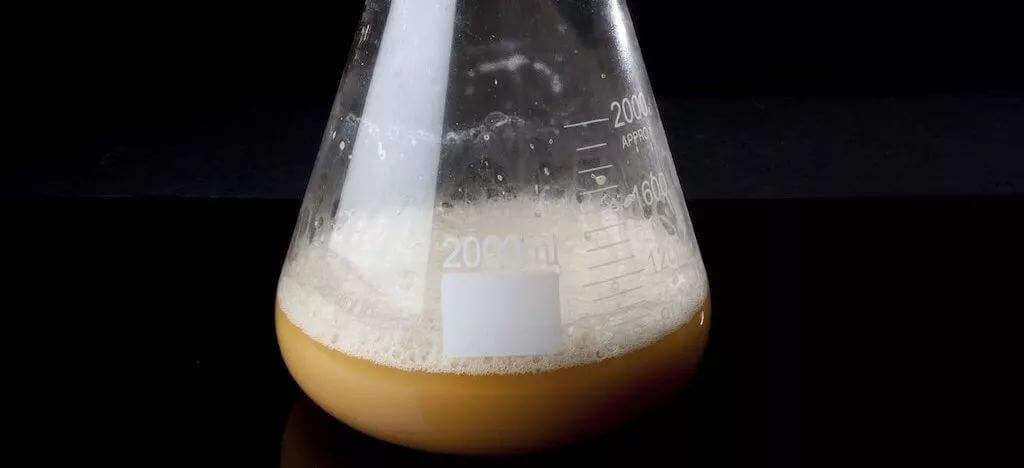 酵母發(fā)酵起泡是怎么回事，怎么處理這些泡沫？